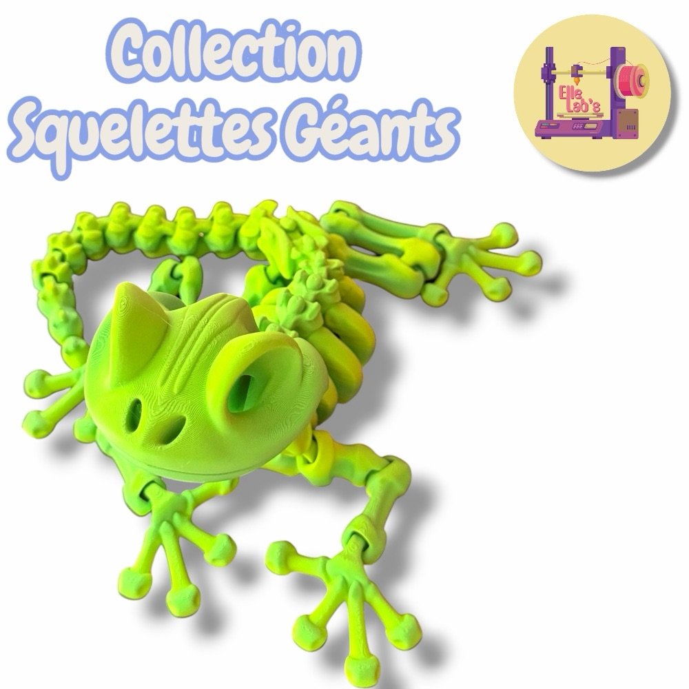 Gecko Squelette GÉANT