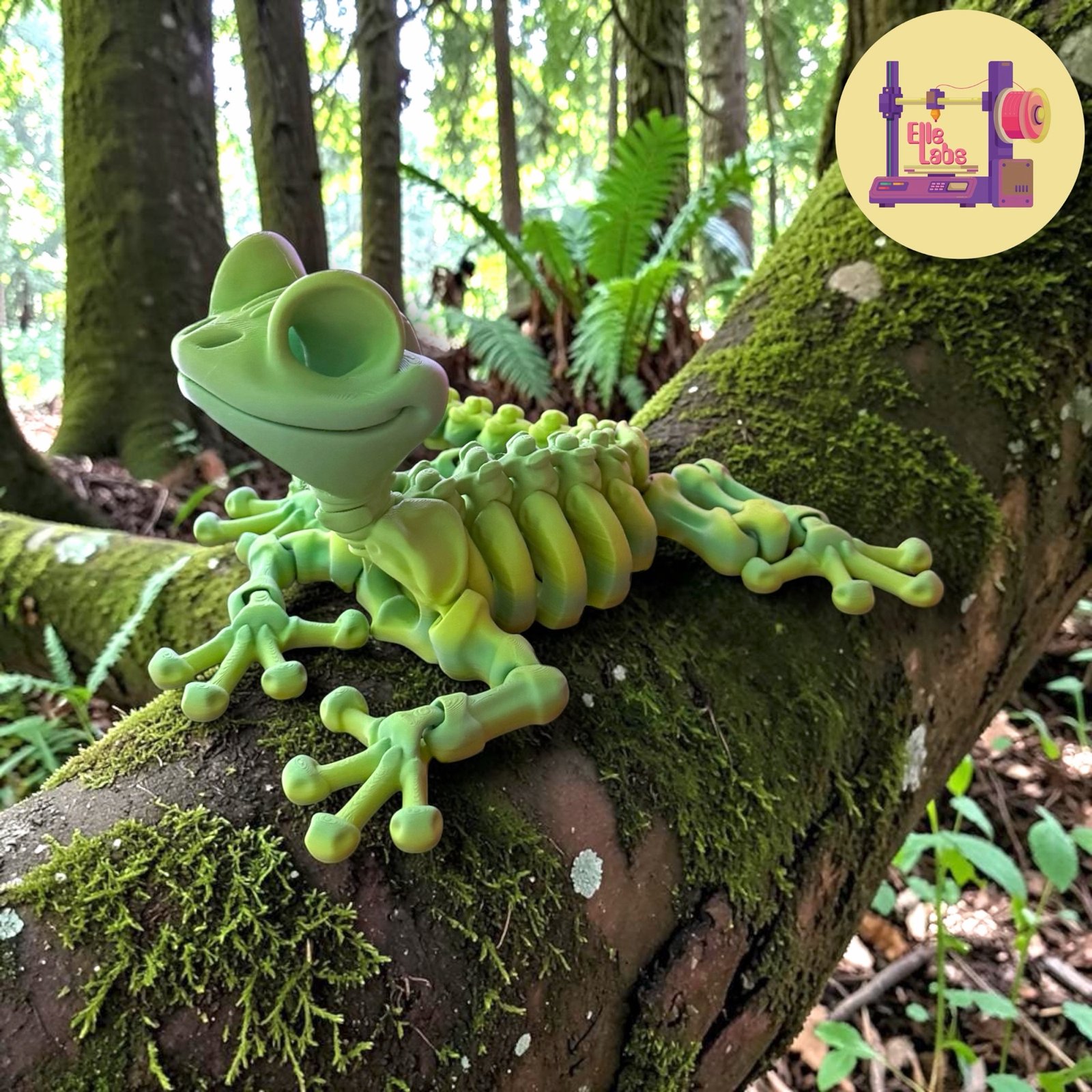 Gecko Squelette GÉANT – Image 2