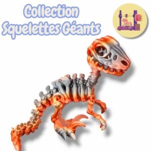 Vélociraptor - Squelette GÉANT