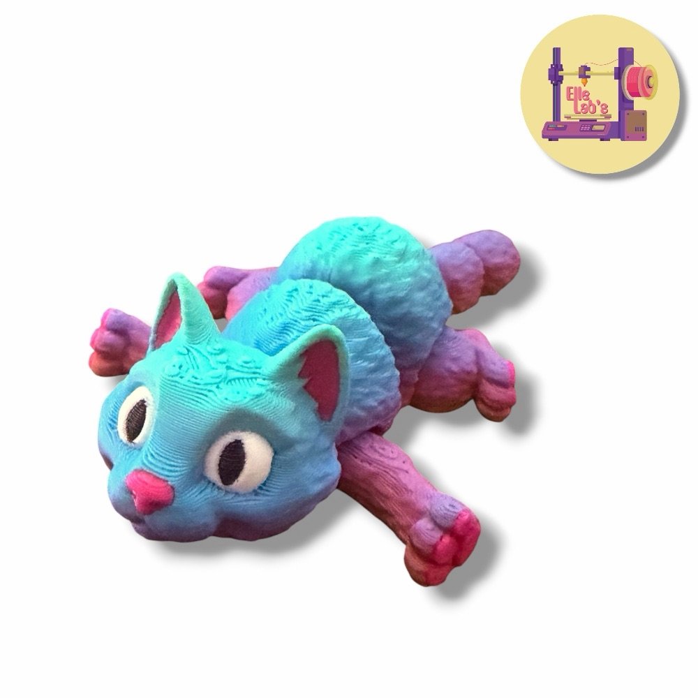 Petit Chat Arc-en-Ciel
